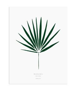 Affiche A4 – Feuille de palmier