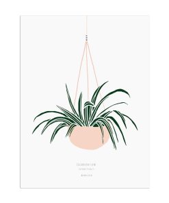 Affiche A4 – Plante suspendue