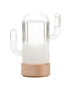 Baromètre – Cactus