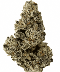 Chocolate Chip Cookie