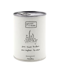 Kit à planter – Faire danser les fleurs