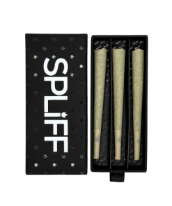 Amnésia Haze ( X3 )