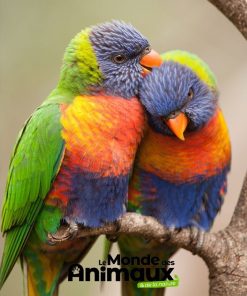 Le Monde des Animaux – Abonnement Essentiel – 1 an – 4 n° – Reste du monde & TOM