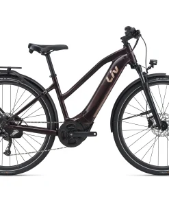 Liv Amiti E+ 2 (RideDash Evo)